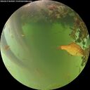./images/calvert/underwater/20260619/underwater20260619_063001M.jpg