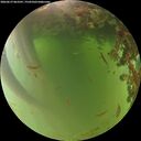 ./images/calvert/underwater/20260619/underwater20260619_063501M.jpg