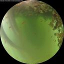 ./images/calvert/underwater/20260619/underwater20260619_065001M.jpg
