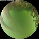 ./images/calvert/underwater/20260619/underwater20260619_070001M.jpg