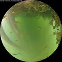 ./images/calvert/underwater/20260619/underwater20260619_070501M.jpg