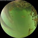 ./images/calvert/underwater/20260619/underwater20260619_071002M.jpg