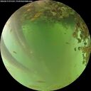 ./images/calvert/underwater/20260619/underwater20260619_071501M.jpg