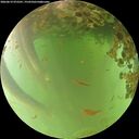 ./images/calvert/underwater/20260619/underwater20260619_072501M.jpg