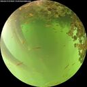 ./images/calvert/underwater/20260619/underwater20260619_073002M.jpg