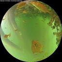 ./images/calvert/underwater/20260619/underwater20260619_074001M.jpg