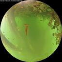 ./images/calvert/underwater/20260619/underwater20260619_082501M.jpg