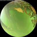 ./images/calvert/underwater/20260619/underwater20260619_085501M.jpg
