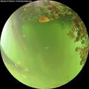 ./images/calvert/underwater/20260619/underwater20260619_090501M.jpg