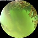 ./images/calvert/underwater/20260619/underwater20260619_093001M.jpg