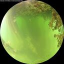./images/calvert/underwater/20260619/underwater20260619_094001M.jpg