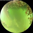 ./images/calvert/underwater/20260619/underwater20260619_095002M.jpg