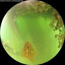 ./images/calvert/underwater/20260619/underwater20260619_095501M.jpg