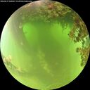 ./images/calvert/underwater/20260619/underwater20260619_100002M.jpg