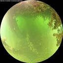 ./images/calvert/underwater/20260619/underwater20260619_103001M.jpg