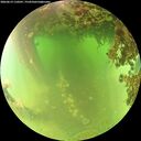 ./images/calvert/underwater/20260619/underwater20260619_110501M.jpg