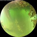 ./images/calvert/underwater/20260619/underwater20260619_111002M.jpg