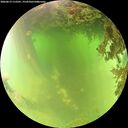 ./images/calvert/underwater/20260619/underwater20260619_112501M.jpg
