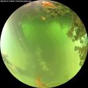 ./images/calvert/underwater/20260619/underwater20260619_114001M.jpg