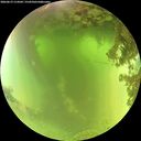 ./images/calvert/underwater/20260619/underwater20260619_114502M.jpg