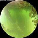 ./images/calvert/underwater/20260619/underwater20260619_115001M.jpg