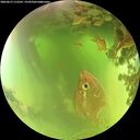 ./images/calvert/underwater/20260619/underwater20260619_115501M.jpg