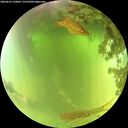./images/calvert/underwater/20260619/underwater20260619_120001M.jpg