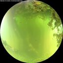 ./images/calvert/underwater/20260619/underwater20260619_121001M.jpg