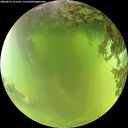 ./images/calvert/underwater/20260619/underwater20260619_121501M.jpg