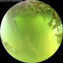 ./images/calvert/underwater/20260619/underwater20260619_122002M.jpg