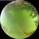 ./images/calvert/underwater/20260619/underwater20260619_122502M.jpg