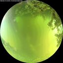 ./images/calvert/underwater/20260619/underwater20260619_123501M.jpg