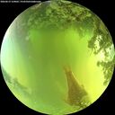 ./images/calvert/underwater/20260619/underwater20260619_124002M.jpg