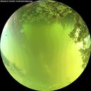 ./images/calvert/underwater/20260619/underwater20260619_124502M.jpg