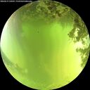 ./images/calvert/underwater/20260619/underwater20260619_130501M.jpg
