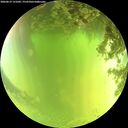 ./images/calvert/underwater/20260619/underwater20260619_131001M.jpg