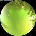 ./images/calvert/underwater/20260619/underwater20260619_131501M.jpg