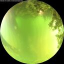 ./images/calvert/underwater/20260619/underwater20260619_132001M.jpg