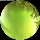 ./images/calvert/underwater/20260619/underwater20260619_133001M.jpg
