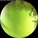./images/calvert/underwater/20260619/underwater20260619_134001M.jpg
