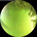 ./images/calvert/underwater/20260619/underwater20260619_135001M.jpg