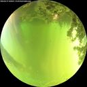 ./images/calvert/underwater/20260619/underwater20260619_140001M.jpg