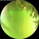 ./images/calvert/underwater/20260619/underwater20260619_140501M.jpg