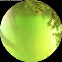 ./images/calvert/underwater/20260619/underwater20260619_141001M.jpg