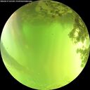 ./images/calvert/underwater/20260619/underwater20260619_141501M.jpg
