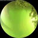 ./images/calvert/underwater/20260619/underwater20260619_142501M.jpg