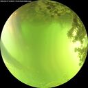 ./images/calvert/underwater/20260619/underwater20260619_143001M.jpg