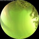 ./images/calvert/underwater/20260619/underwater20260619_143501M.jpg