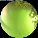 ./images/calvert/underwater/20260619/underwater20260619_144001M.jpg