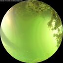./images/calvert/underwater/20260619/underwater20260619_145002M.jpg